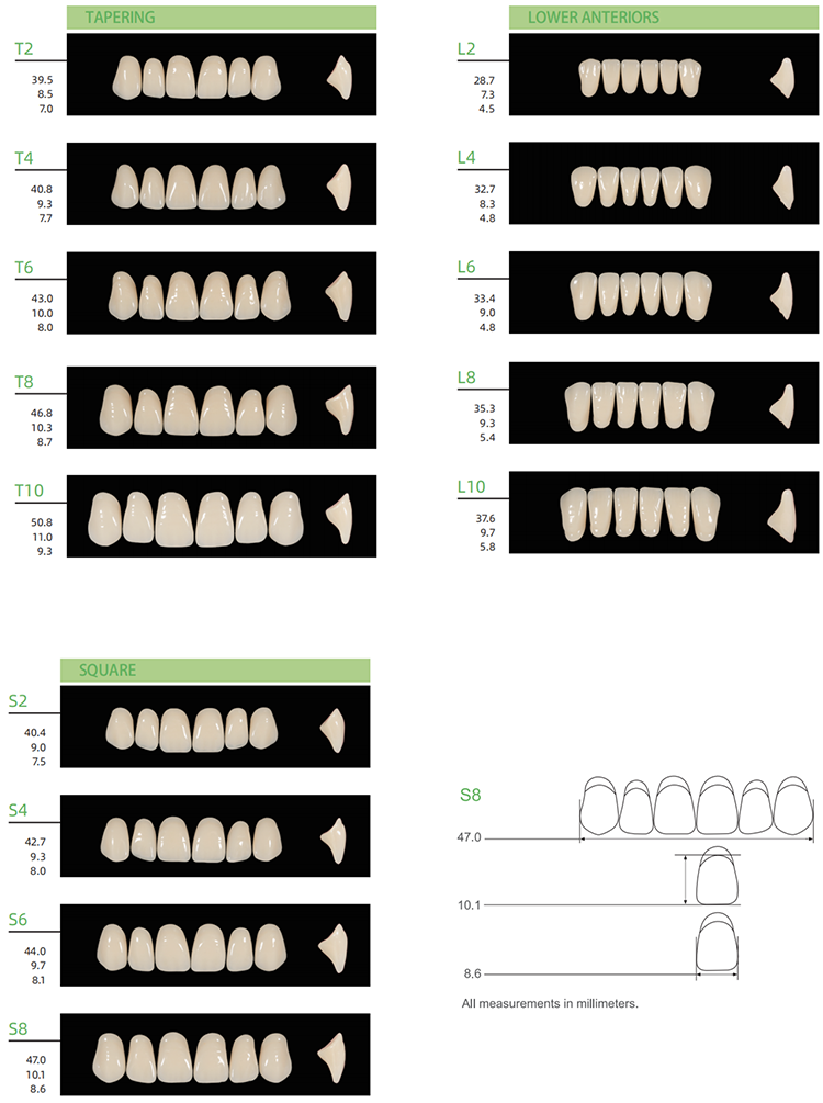 H201 Synthetic Resin Teeth KAILI